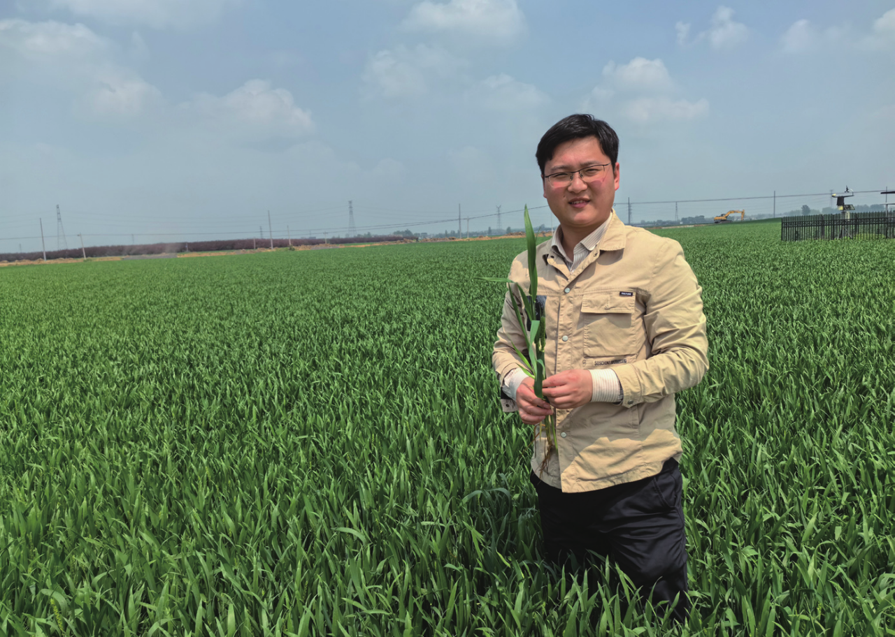 新農領頭人徐旭東:共同發起成立太和縣種糧大戶協會,已覆蓋耕地20萬畝,帶動小農戶3萬戶,每年接待和培訓人員超過3000人次(圖1) 微信圖片_20250412103536.png