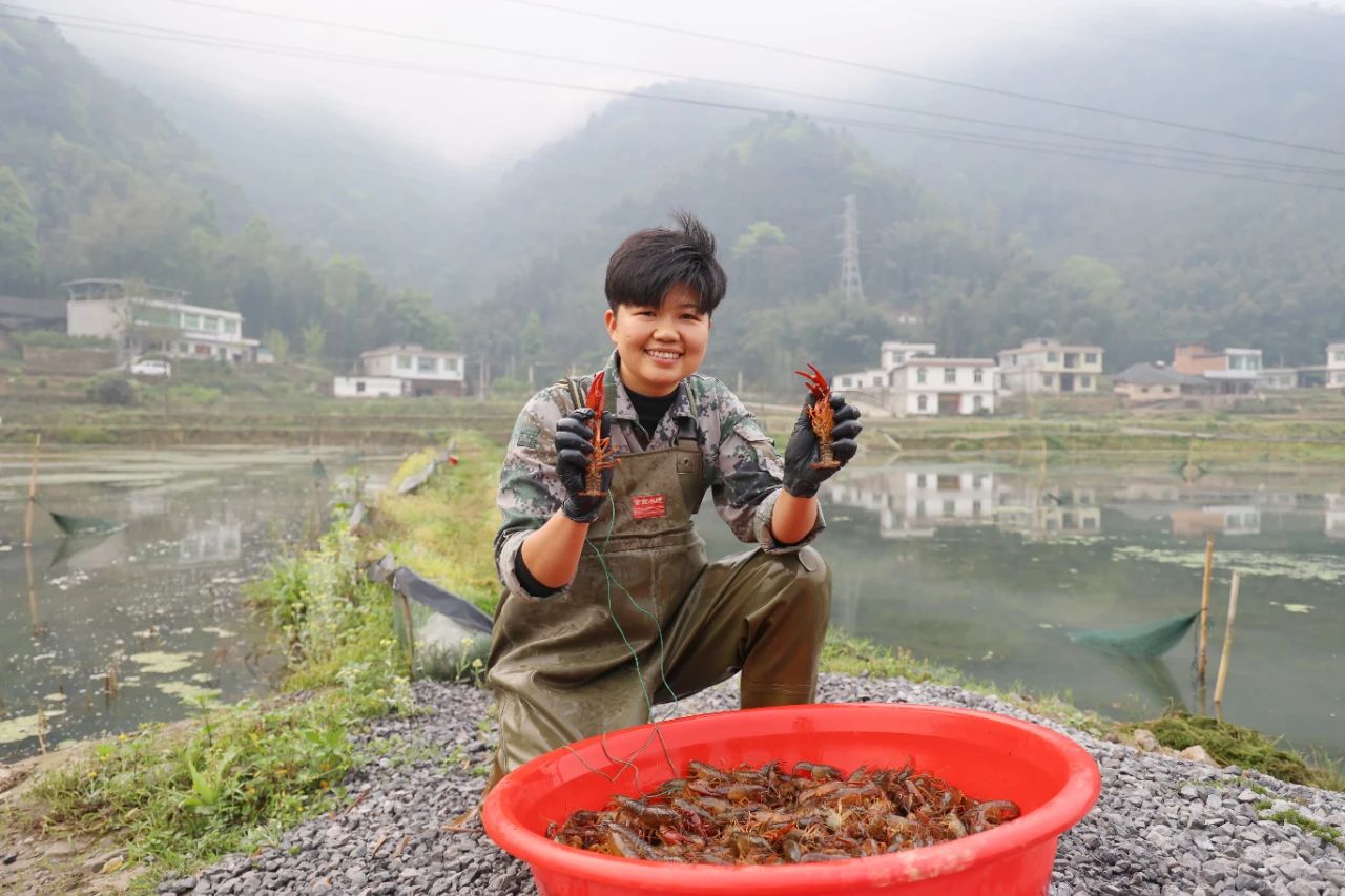 新農領頭人王莉:承包龍華村的流轉土地近150畝,小龍蝦集散中心、稻蝦垂釣園、農家樂等項目逐漸發展帶來新的增長點(圖1) 微信圖片_20250428082959.jpg