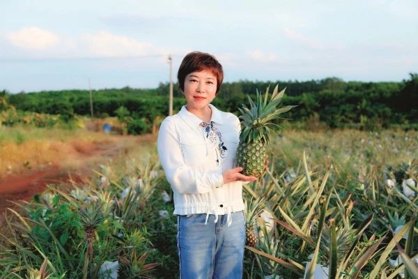 新農領頭人徐詠梅:四處考察學習,最終決定引進金鉆鳳梨,“土地入股+保底分紅+務工”的模式讓村民們收入大幅提升(圖1) 微信圖片_20250514065917.jpg