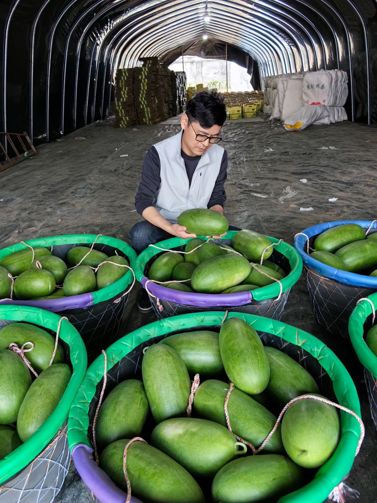 新農(nóng)領(lǐng)頭人陳志峰:“三林崩瓜”入選中國(guó)優(yōu)質(zhì)農(nóng)產(chǎn)品榜單,成為浦東新區(qū)農(nóng)業(yè)的一張金色名片(圖1) 微信圖片_20250522103421.jpg