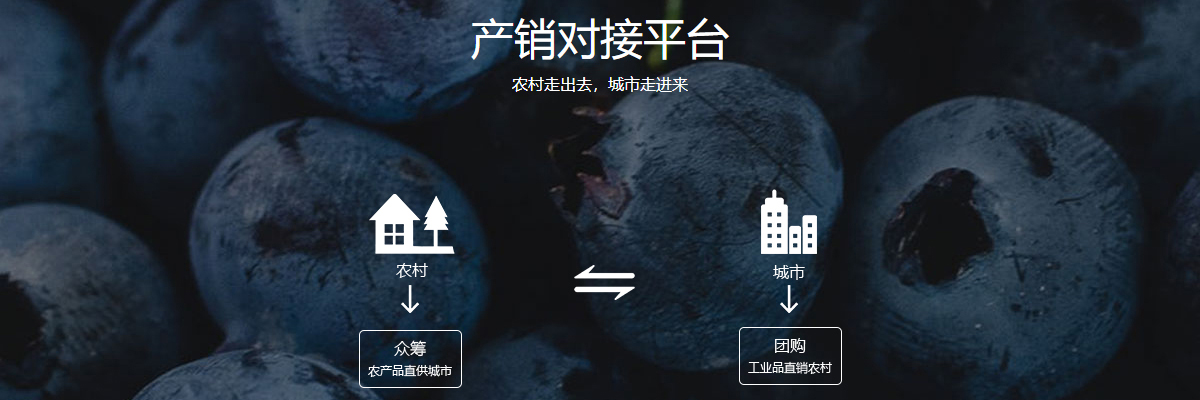 公共信息平臺 公共信息平臺