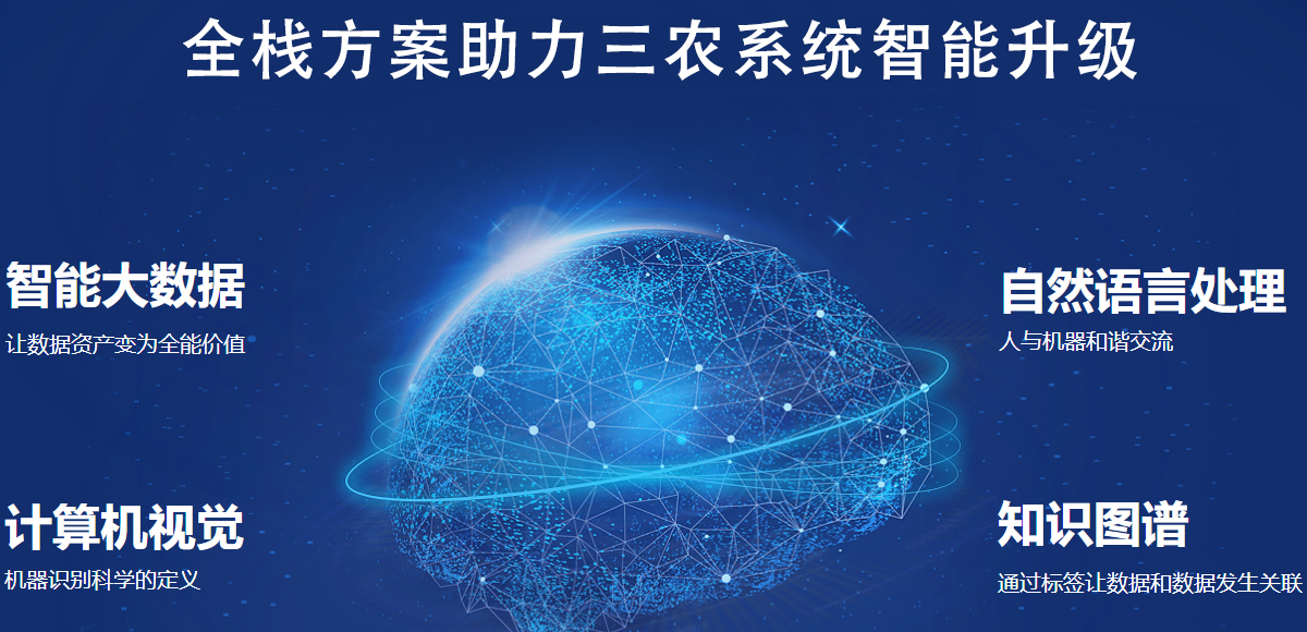 服務(wù)內(nèi)容 服務(wù)內(nèi)容